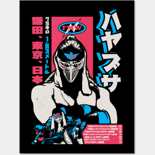 hayabusa legacy Posters and Art